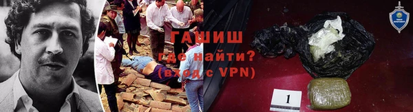 не бодяженный Магас