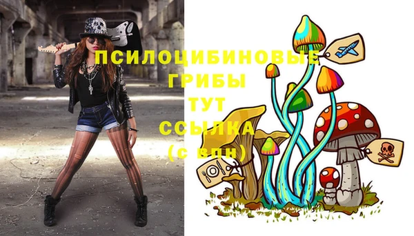 не бодяженный Магас