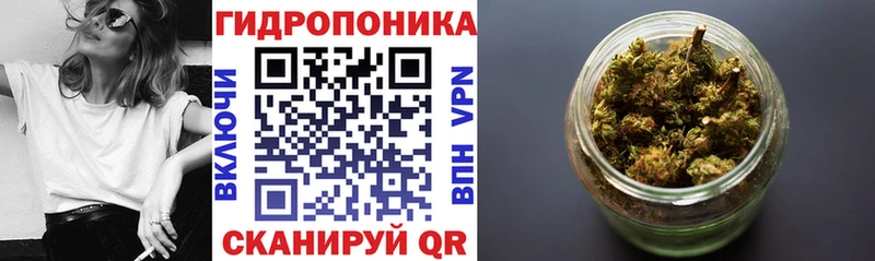 Каннабис SATIVA & INDICA  Купить где  Щёлково 